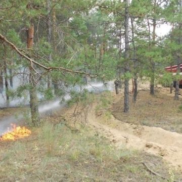 Синоптики предупредили о пожарной опасности в Киеве и области