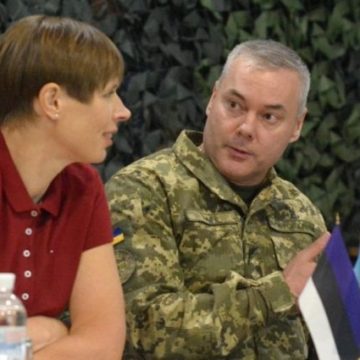 Наев сообщил о конечной цели операции ВСУ на Донбассе