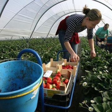 Украина будет бороться с нелегальной трудовой миграцией в Польшу, — Рева