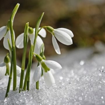 С надеждами на тепло: синоптики рассказали, какой будет весна