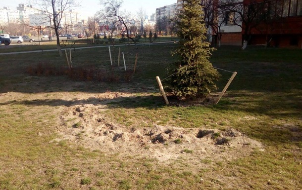 В сквере Киева украли сотни кустов можжевельника и сосны